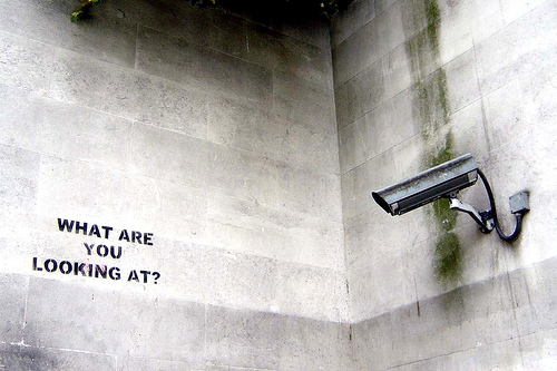 Banksy: What are you looking at? (Photo by Flickr user nolifebeforecoffee)